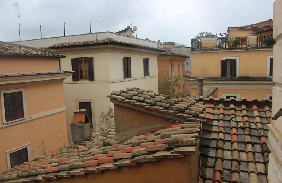B&B Isolatiberina-1